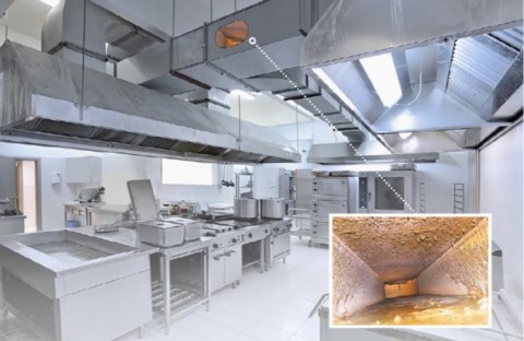 Biofilmes e gordura em hottes profissionais